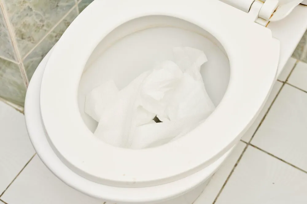 Desentupidora de Vaso Sanitário - RJ // Desentupidora RJ