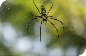 Desentupidora Bonanza - Rio de Janeiro // Desentupidora RJ