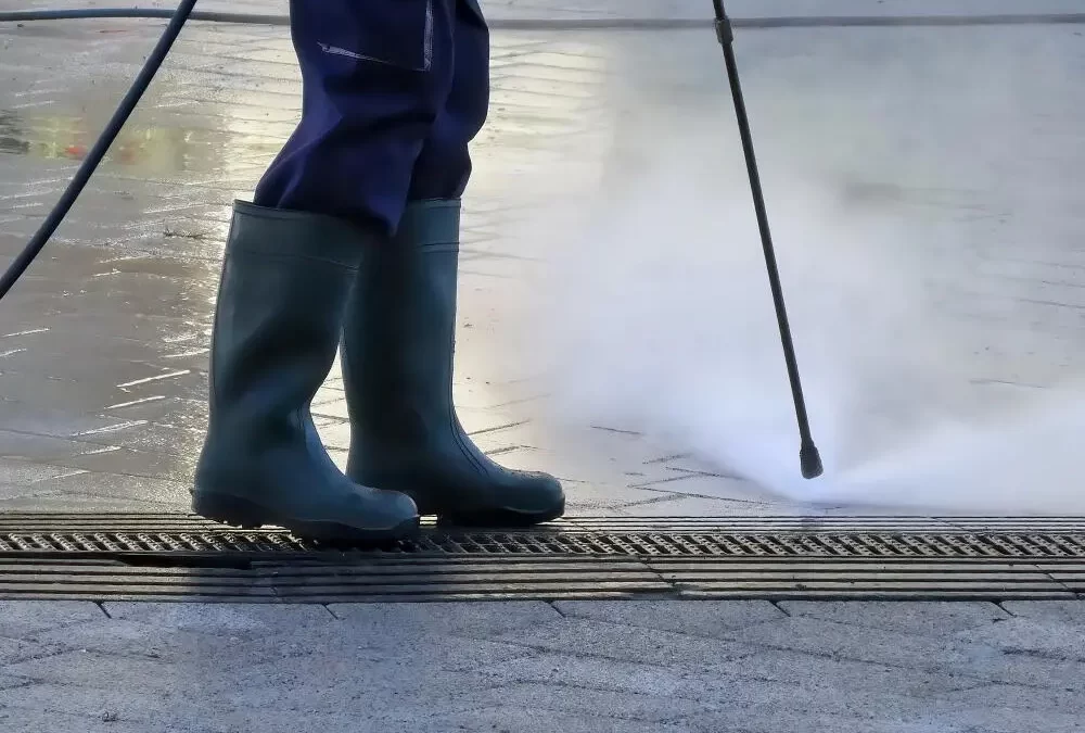 Dedetizadora no RJ com registro: por que isso importa?