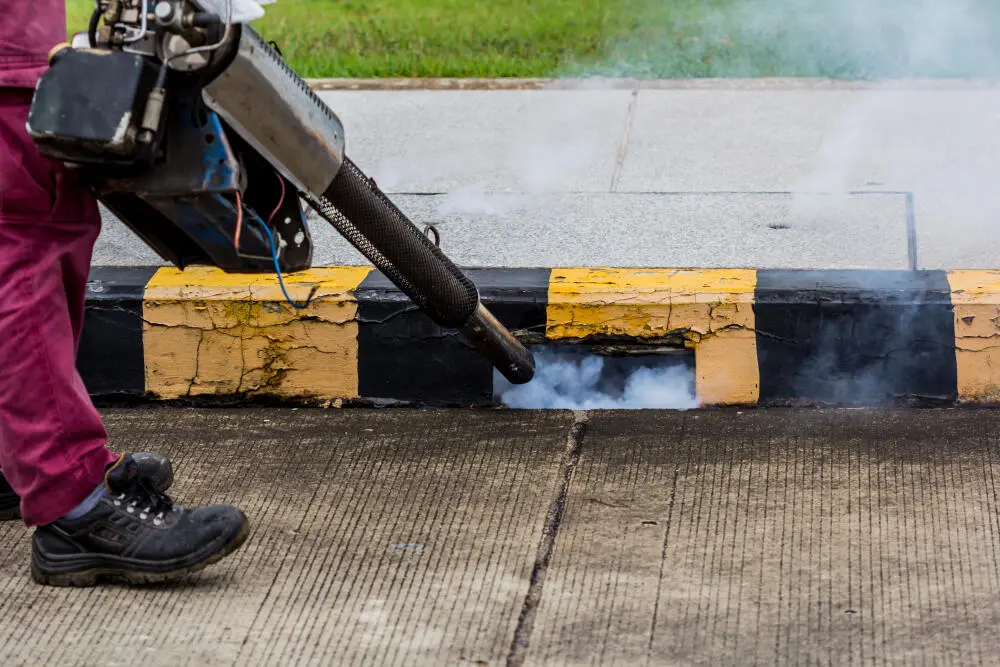 Carro Fumacê na Barra da Tijuca: Controle Rápido e Eficaz Contra Mosquitos