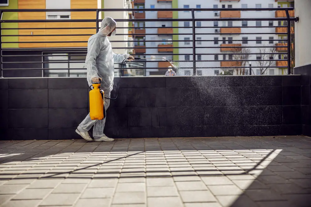 Quais os cuidados na escolha de um serviço de Dedetizadora no RJ?