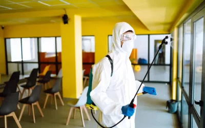 Dedetizar no RJ é obrigatório? Entenda a legislação